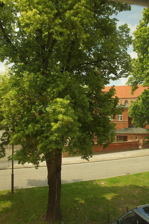 Ferienwohnung Fewo auf der Dominsel-DOMLINDEN Brandenburg an der Havel Zimmer foto